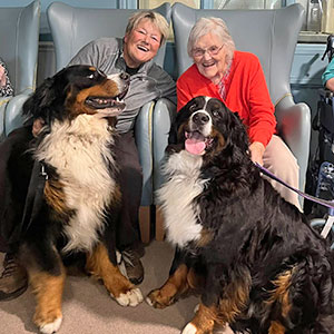 Pet therapy