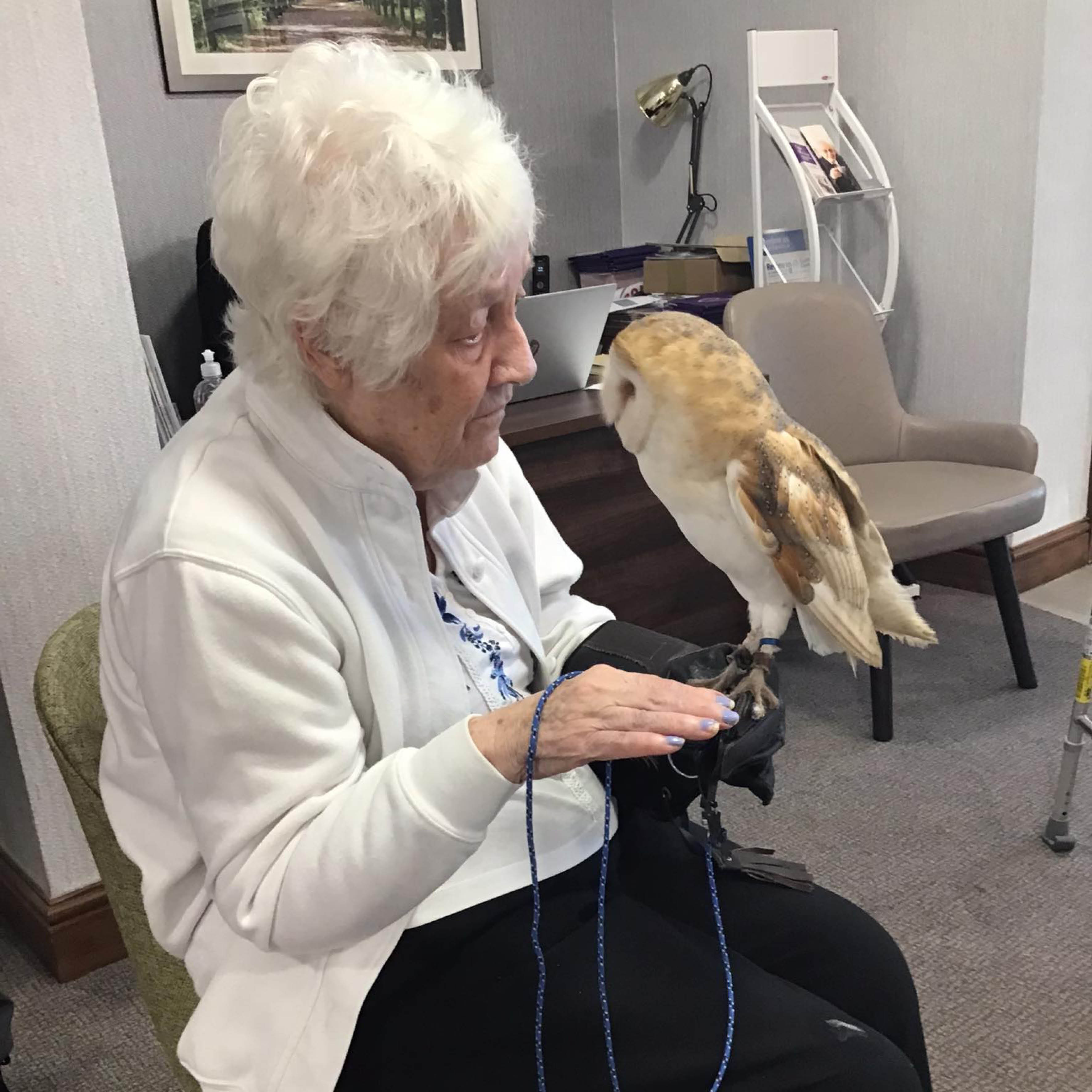 Magical Owl Encounter Fulfills Beryl’s Wish at Baycroft Flitwick Care Home