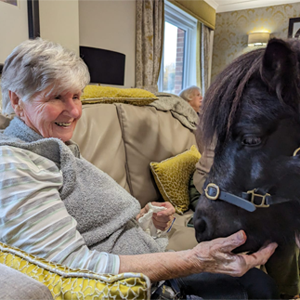 Minature Pony Wish Comes True for Mave at Lakeview Lodge