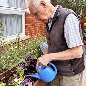 Gardening with raised beds